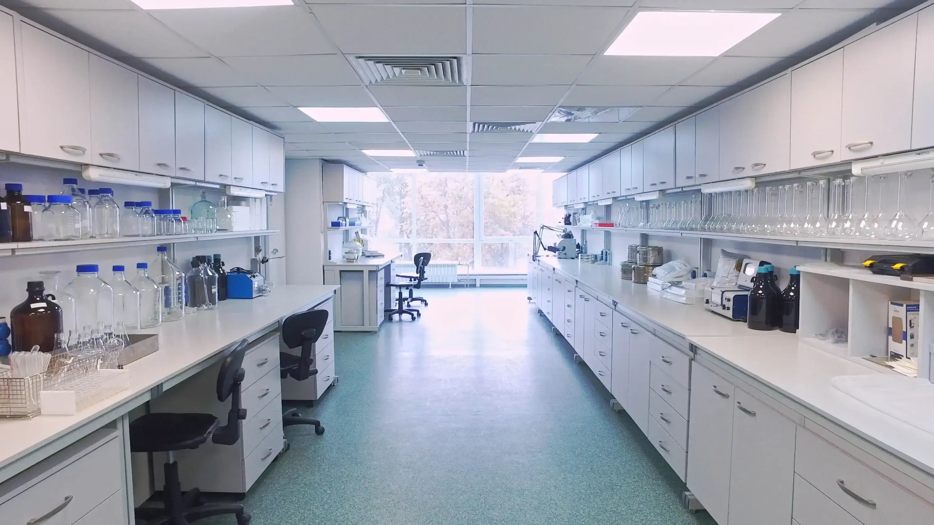 A photograph of a lab 